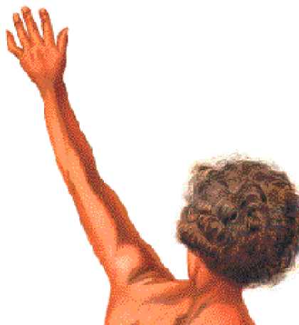 MUJER 2