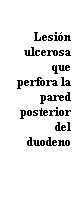 blancoulcera.gif (1041 bytes)