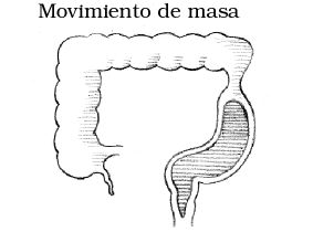 Colitis