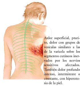 En la garganta la incomodidad de por la osteocondrosis sheynogo del departamento