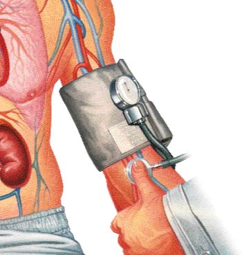 Hipotensi�n