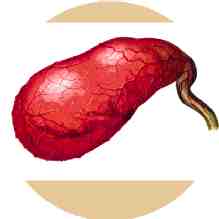 colestitis