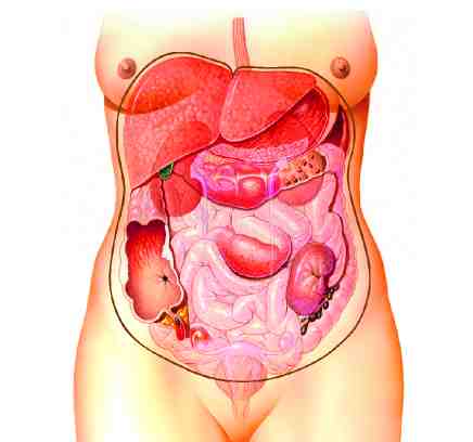 dolor abdominal completo
